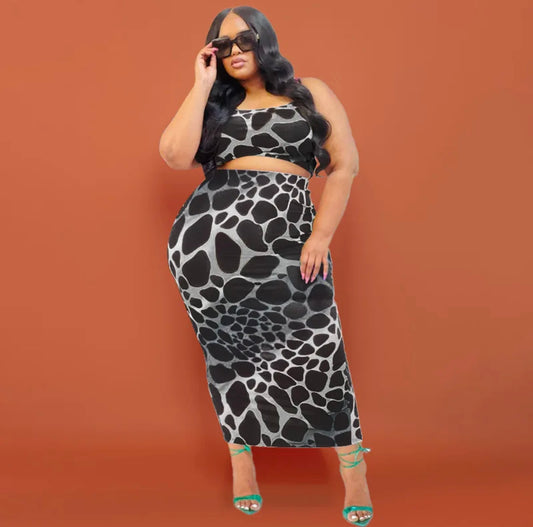 Leopard Print Two Piece Set